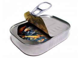 Sardines